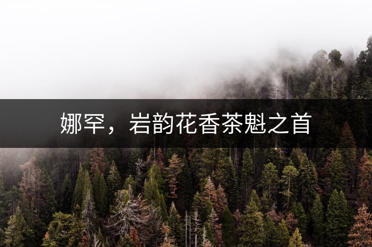 娜罕，巖韻花香茶魁之首