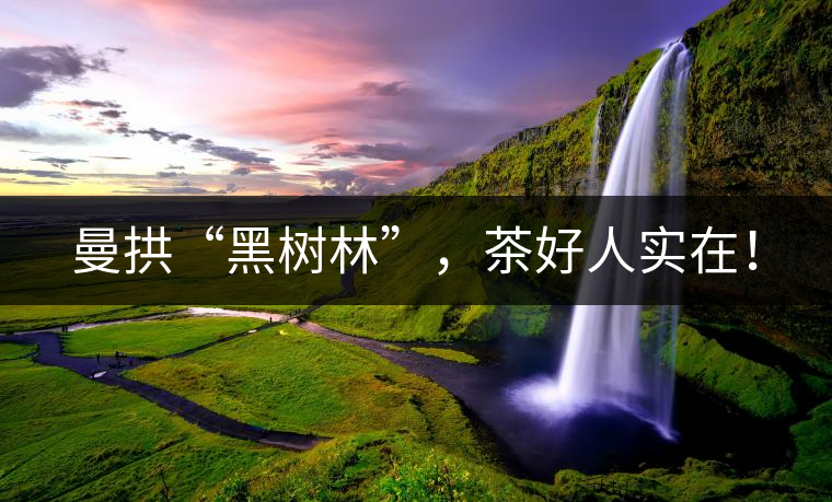 曼拱“黑樹林”，茶好人實在！