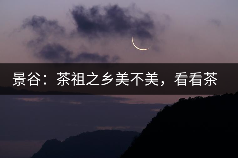 景谷：茶祖之鄉(xiāng)美不美，看看茶山和美人