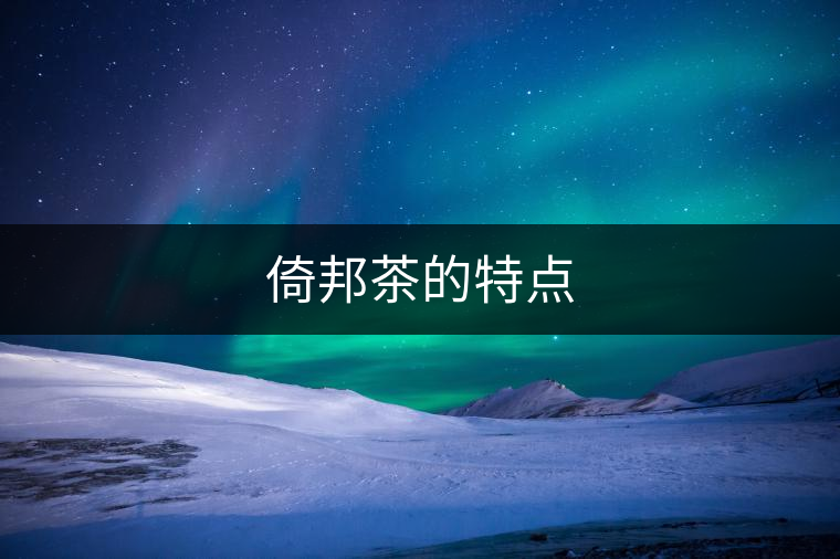 倚邦茶的特點(diǎn)