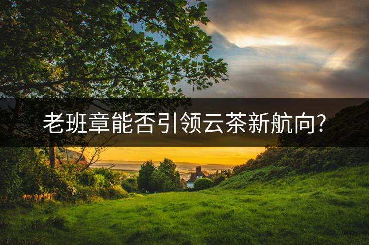 老班章能否引領(lǐng)云茶新航向? 老班章能否引領(lǐng)云茶新航向?