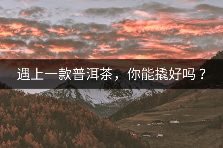 遇上一款普洱茶，你能撬好嗎 ？