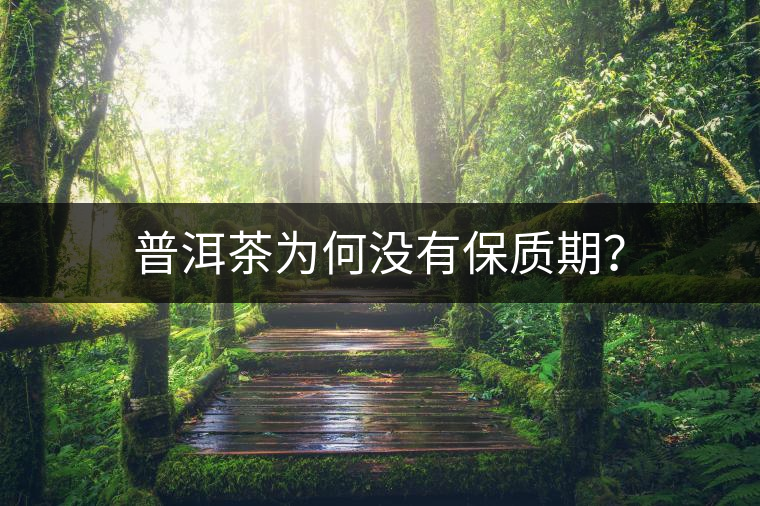 普洱茶為何沒(méi)有保質(zhì)期？