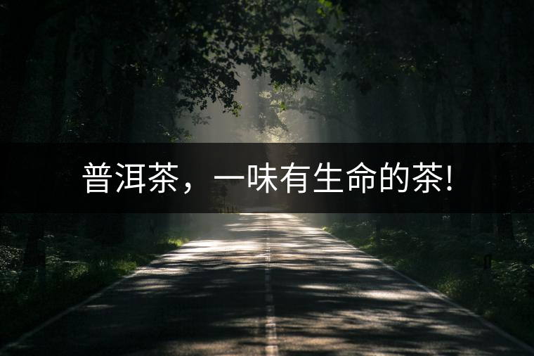 普洱茶，一味有生命的茶!