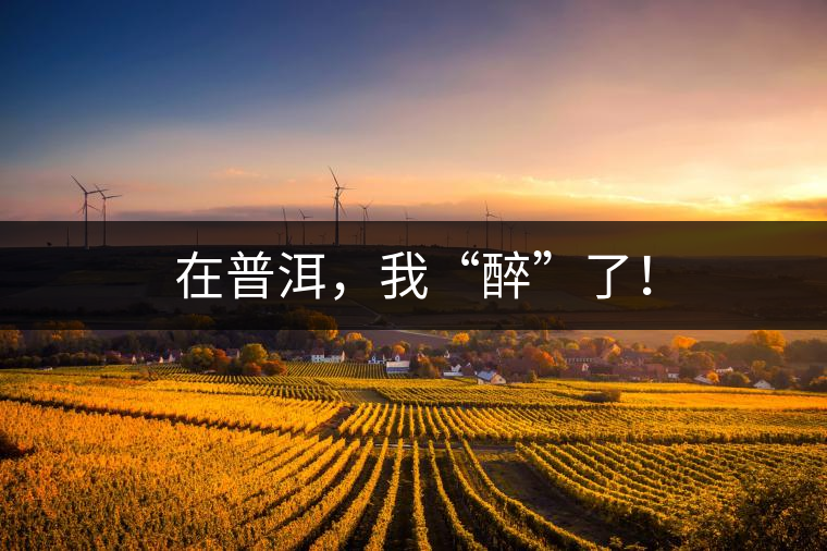 在普洱，我“醉”了！