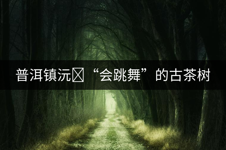 普洱鎮(zhèn)沅?“會(huì)跳舞”的古茶樹