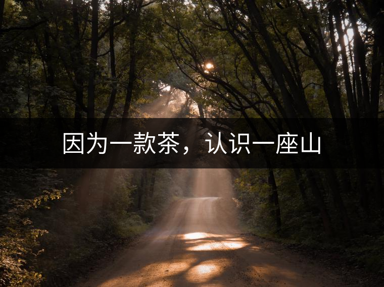 因?yàn)橐豢畈瑁J(rèn)識(shí)一座山