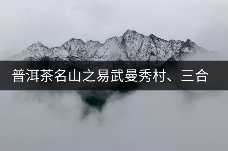 普洱茶名山之易武曼秀村、三合社村
