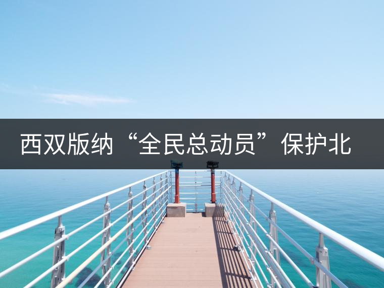 西雙版納“全民總動員”保護(hù)北回歸線唯一綠洲 西雙版納“全民總動員”保護(hù)北回歸線唯一綠洲