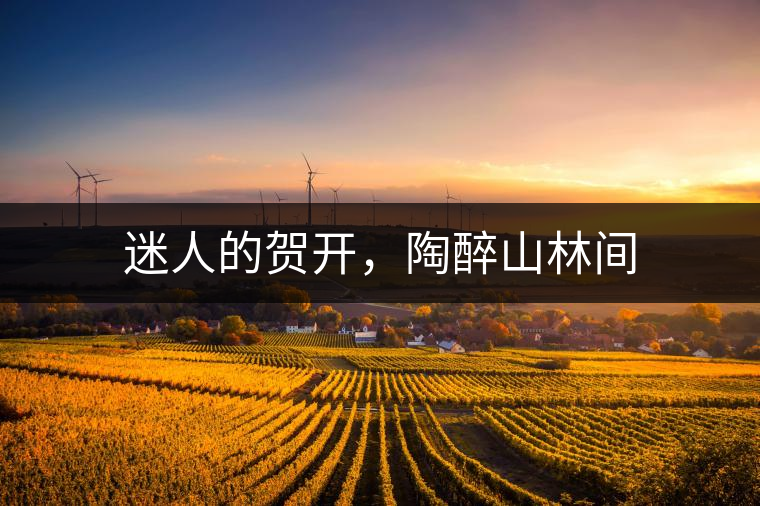 迷人的賀開，陶醉山林間