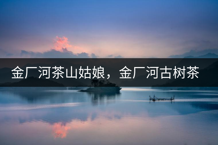 金廠河茶山姑娘，金廠河古樹茶特點(diǎn)與價(jià)格