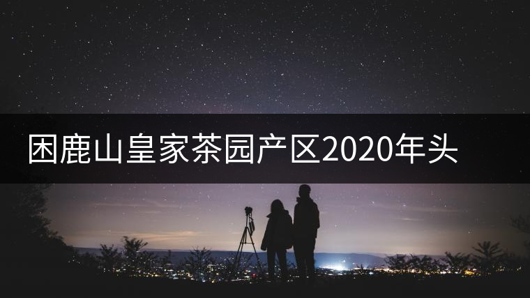 困鹿山皇家茶園產(chǎn)區(qū)2020年頭春古樹，白花林口感特點