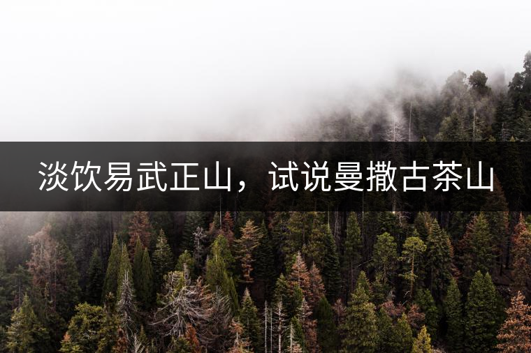 淡飲易武正山，試說曼撒古茶山