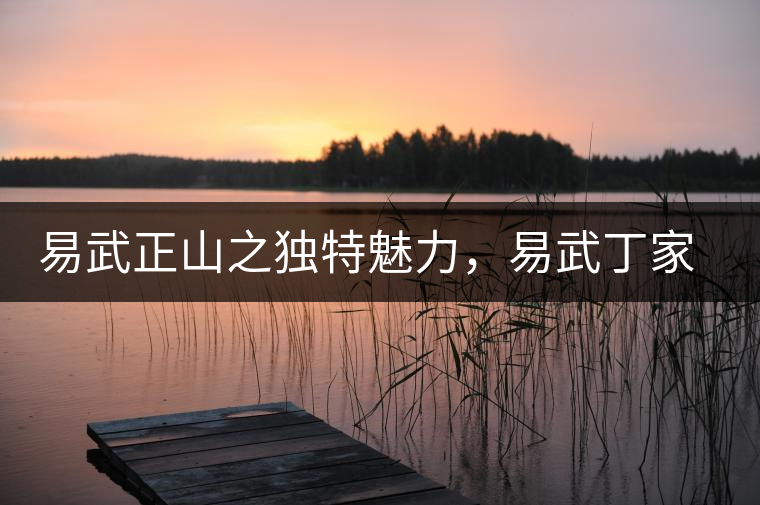 易武正山之獨(dú)特魅力，易武丁家寨介紹品鑒