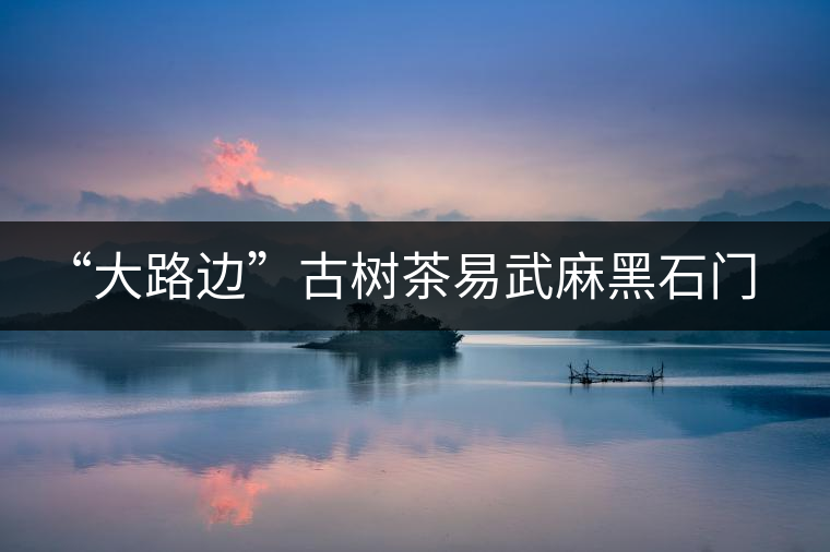 “大路邊”古樹(shù)茶易武麻黑石門(mén)坎你應(yīng)該了解的山頭