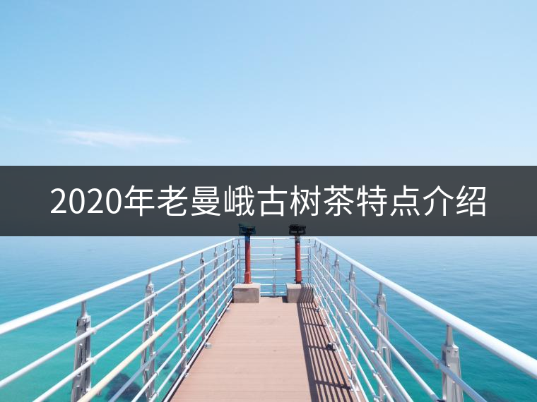 2020年老曼峨古樹茶特點(diǎn)介紹
