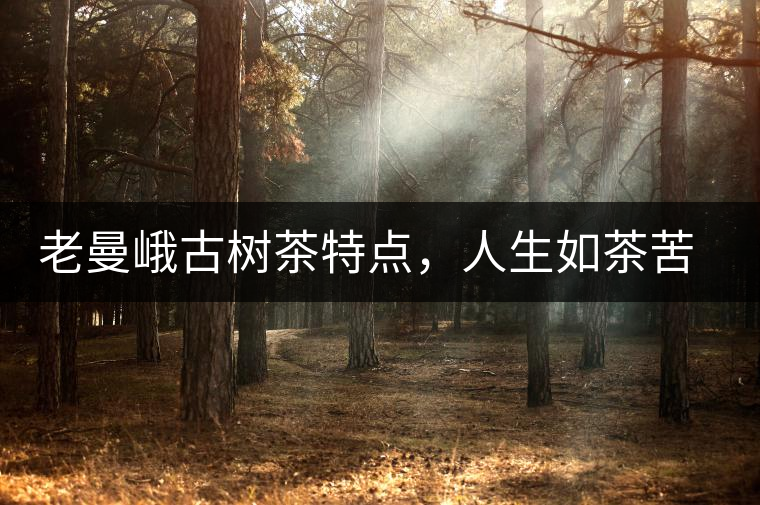老曼峨古樹茶特點，人生如茶苦盡甘來