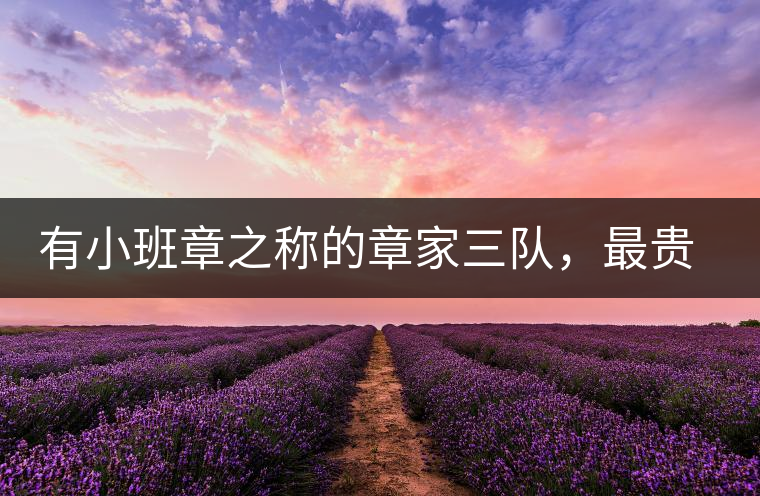 有小班章之稱的章家三隊(duì)，最貴的小樹茶