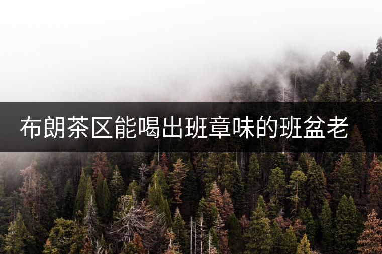 布朗茶區(qū)能喝出班章味的班盆老寨你知道嗎？