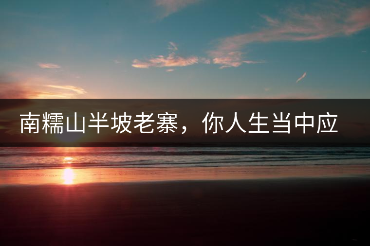 南糯山半坡老寨，你人生當(dāng)中應(yīng)該入手的第一片勐海味古樹純料普洱茶