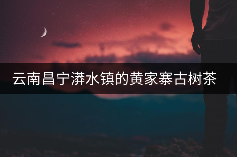 云南昌寧漭水鎮(zhèn)的黃家寨古樹(shù)茶特點(diǎn)介紹