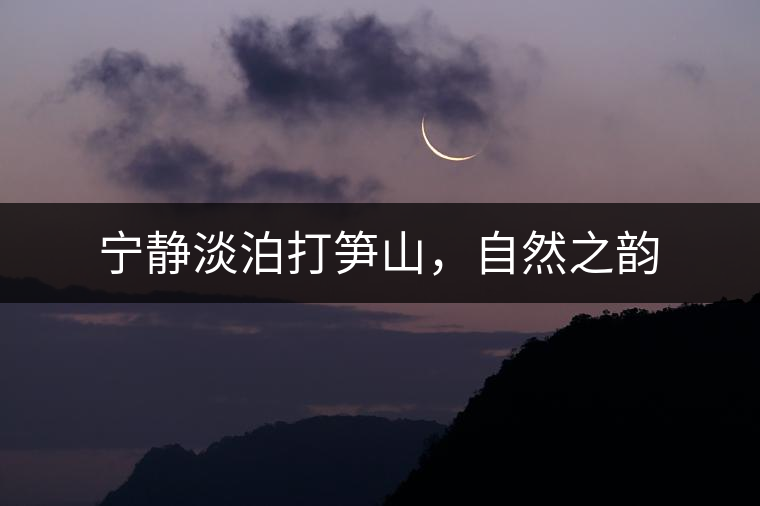 寧靜淡泊打筍山，自然之韻