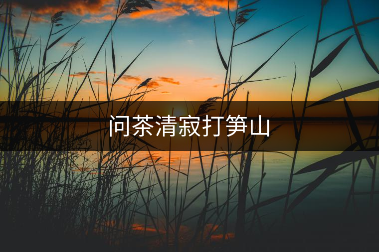 問(wèn)茶清寂打筍山