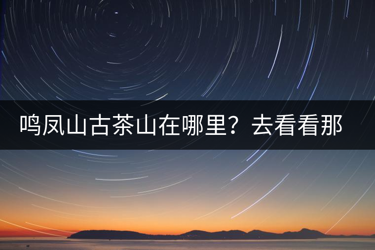 鳴鳳山古茶山在哪里？去看看那鳳凰曾經(jīng)落腳的地方
