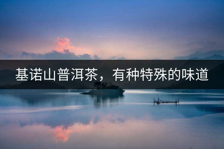 基諾山普洱茶，有種特殊的味道