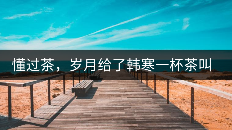 懂過(guò)茶，歲月給了韓寒一杯茶叫懂過(guò)