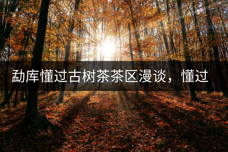 勐庫懂過古樹茶茶區(qū)漫談，懂過古樹茶的特點(diǎn)