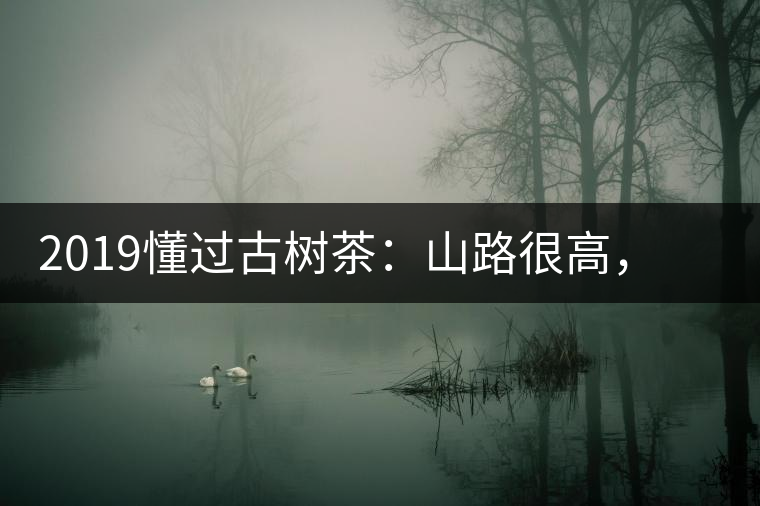 2019懂過古樹茶：山路很高，可仍然有執(zhí)著走向深山的人