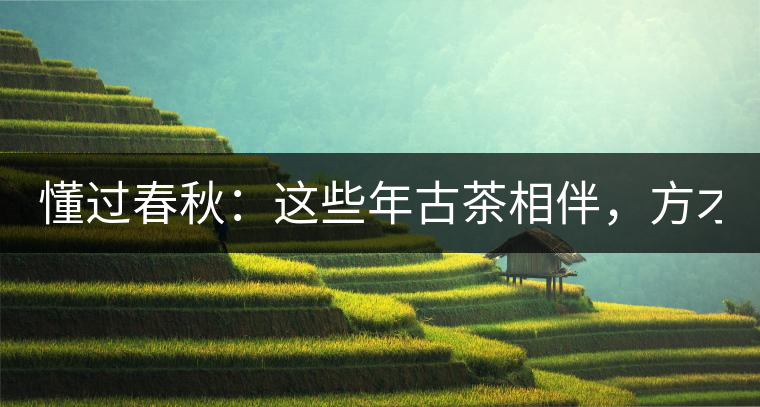 懂過(guò)春秋：這些年古茶相伴，方才懂過(guò)！