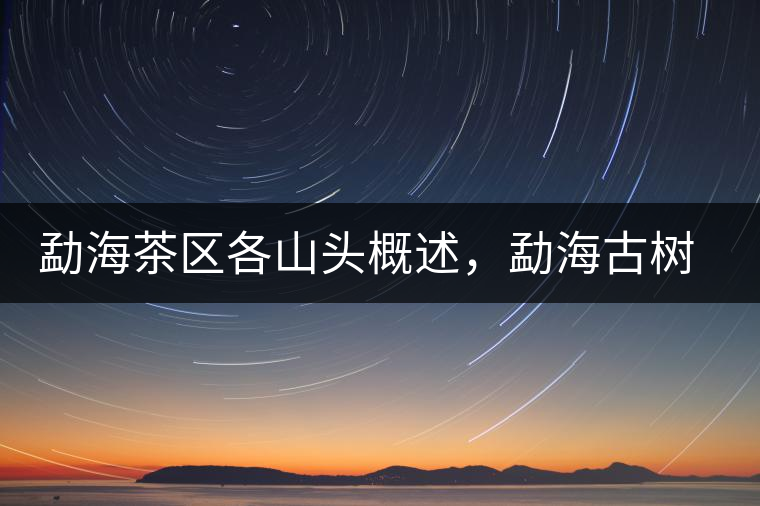 勐海茶區(qū)各山頭概述，勐海古樹(shù)茶口感特點(diǎn)