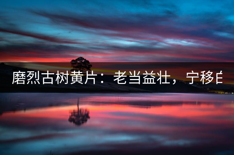 磨烈古樹(shù)黃片：老當(dāng)益壯，寧移白首之心！