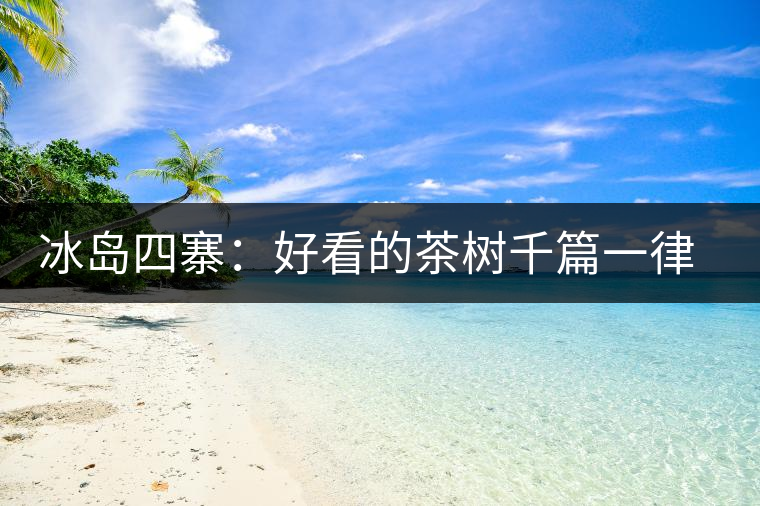 冰島四寨：好看的茶樹(shù)千篇一律，有趣的風(fēng)景萬(wàn)里