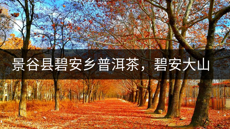 景谷縣碧安鄉(xiāng)普洱茶，碧安大山古樹茶口感特點