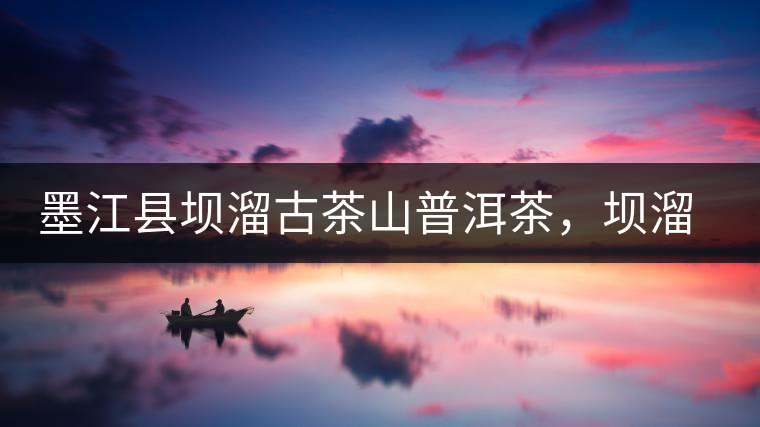 墨江縣壩溜古茶山普洱茶，壩溜古樹茶口感特點