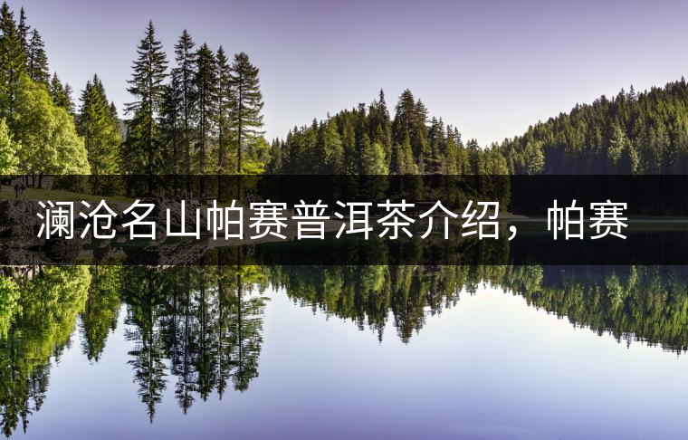 瀾滄名山帕賽普洱茶介紹，帕賽古樹茶口感特點