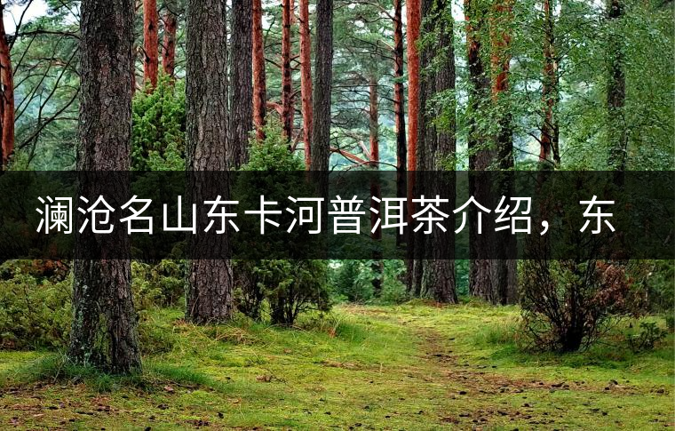 瀾滄名山東卡河普洱茶介紹，東卡河古樹茶口感特點(diǎn)