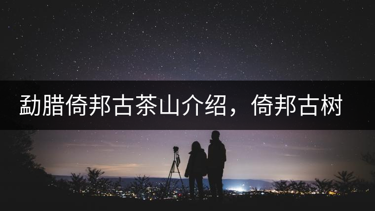 勐臘倚邦古茶山介紹，倚邦古樹茶口感特點(diǎn)