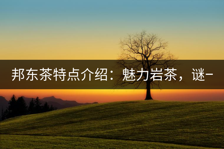 邦東茶特點介紹：魅力巖茶，謎一樣的邦東！