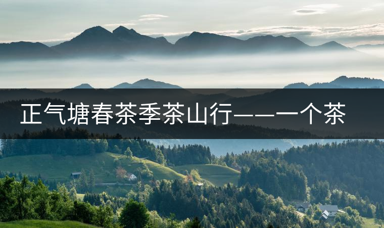 正氣塘春茶季茶山行——一個茶人的承諾