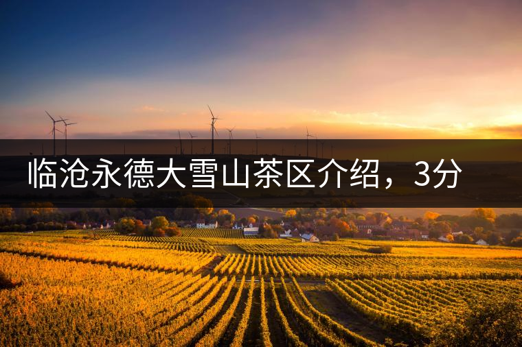 臨滄永德大雪山茶區(qū)介紹，3分鐘了解永德大雪山古樹茶