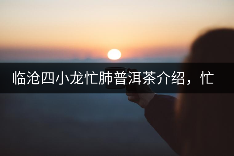 臨滄四小龍忙肺普洱茶介紹，忙肺古樹茶口感特點(diǎn)