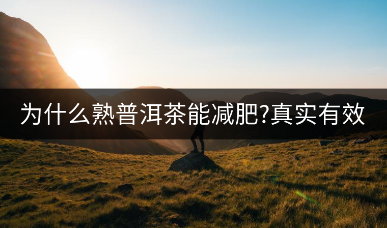 為什么熟普洱茶能減肥?真實(shí)有效嗎？