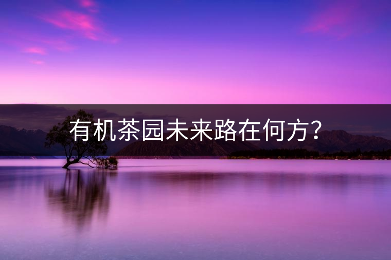 有機茶園未來路在何方？