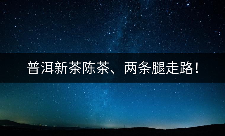 普洱新茶陳茶、兩條腿走路！