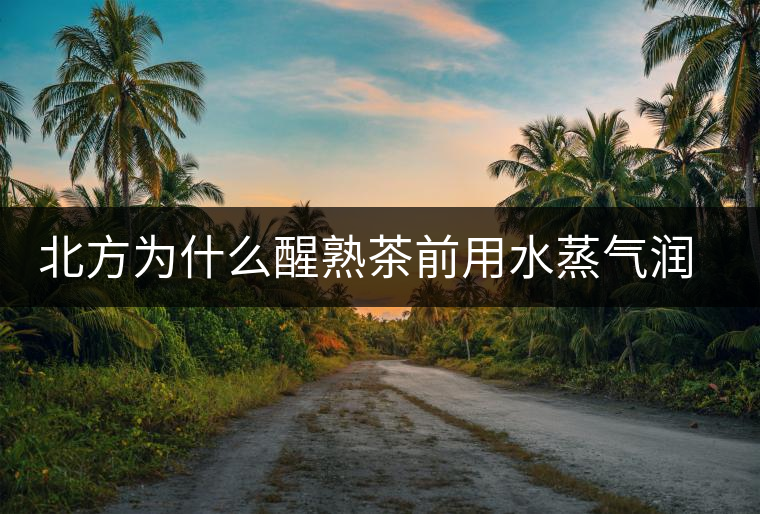 北方為什么醒熟茶前用水蒸氣潤一下？有何用處？