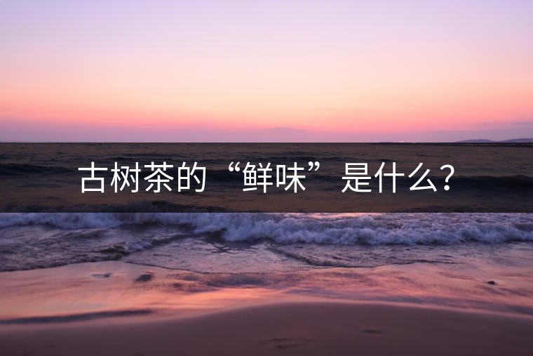 古樹茶的“鮮味”是什么？